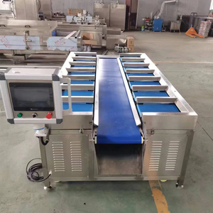 벨트 유형 조합 가중치 바나나 오렌지 사과 정량적 수동 벨트 카운터 웨이트 가중치 - Product Image 5