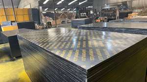 Plaques <span class=keywords><strong>de</strong></span> contreplaqué <span class=keywords><strong>grand</strong></span> <span class=keywords><strong>format</strong></span> 1220x2440 mm, épaisseur personnalisée, colle E0 ENF, pour systèmes <span class=keywords><strong>de</strong></span> coffrage en béton - Product Image 4