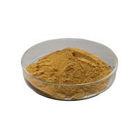 Bubuk Daun Moringa Bubuk Moringa Oleifera Bahan Baku Tanaman Pasokan Massal