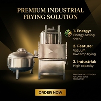 YouBan 304 roestvrijstalen vacuüm friteuse voor lage temperaturen, multifunctioneel voor het maken van knapperige fruit-, groente- en zeevruchtenchips.