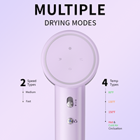 Sèche-cheveux et lisseur 2-en-1 ionique haute vitesse, qualité salon, avec buse concentratrice, prise USA, pour usage domestique, hôtelier et professionnel