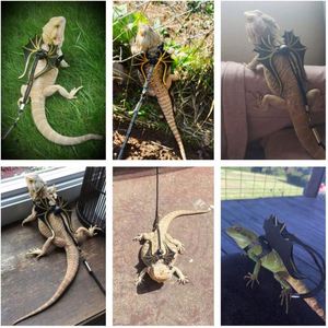 Muestra Gratis: Arnés y Correa para Lagarto Dragón Barbudo - Paquete de 3 Tamaños, Arnés y Correa con Alas de Dinosaurio para Lagarto Dragón Barbudo - Product Image 2