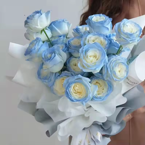 Florist Hoa Phun Màu Đại Lý Tăng Nhanh Chóng Làm Khô Nhuộm Tự Làm Hoa Phun Sơn - Product Image 4