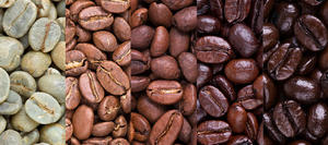 เครื่องวัดสี Agtron Index SCAA รุ่นล่าสุดปี 2025 สำหรับสมาคมกาแฟพิเศษแห่งอเมริกา อุปกรณ์ทดสอบสีสำหรับกาแฟ - Product Image 3