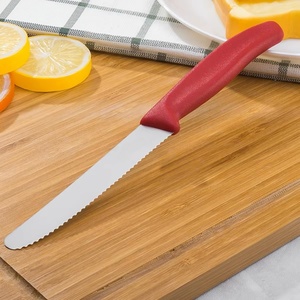 Ensemble de couteaux à steak dentelés colorés en acier inoxydable avec manche en PP, couteaux de table pour la maison, la cuisine, le supermarché et la vente au détail - Product Image 3
