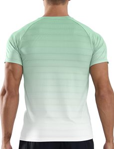 High Quality Running Sport Slim Fit Bodybuilding Mens T Shirt Customized Logo Polyester Quick Dry Gym Sport Mens T Shirts F00 - Product Image 6