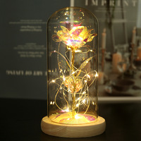 Fleurs artificielles sous cloche en verre, poupée LED enlacée, roses galaxie dans des dômes en verre, cadeaux romantiques pour la Saint-Valentin et la Fête des Mères