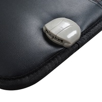 PEMF Infrarouge lointain Chaleur profonde, Thérapie par photons, Champ magnétique Ions négatifs Pierre précieuse Kristalmatte Chakra Cristal Matelas Tapis