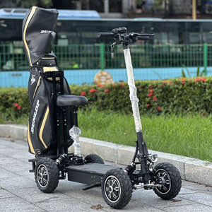 สกู๊ตเตอร์ไฟฟ้าสำหรับกอล์ฟ ZEBRA09 48V 1000W มอเตอร์แบบไร้แปรงถ่าน พร้อมเบาะนั่ง พับได้ สำหรับการเดินทางกลางแจ้ง - Product Image 4