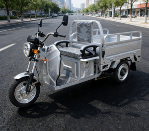 <span class=keywords><strong>Vélo</strong></span> électrique 3 roues tricycles adulte tricycle électrique camping-car tricycle passager avec <span class=keywords><strong>cargo</strong></span> - Product Image 1