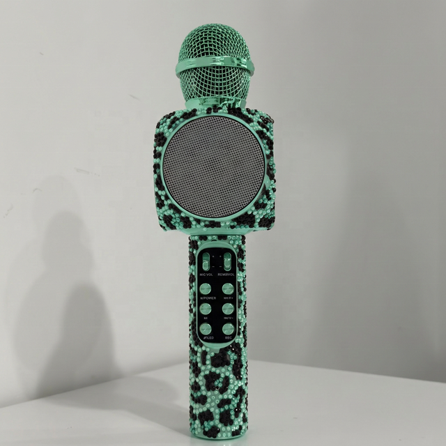 High Quality KTV Microphone Speaker Custom Wholesale Delicate Karaoke Cheap Good Sound