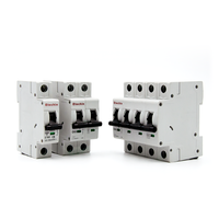 ETM3 Disjoncteur miniature noir 2P 6KA Kema 40 ampères 63a surcharge court courant alternatif sécurité maison haute qualité Din Rail