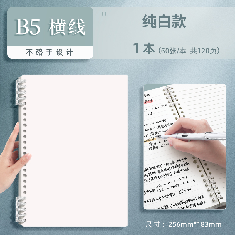 B5 bianco/linea orizzontale, 1 libro, 120 pagine