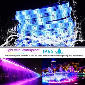 Bande LED intelligente 12V contrôlée par application ou Wi-Fi, 5050 2835 RGB COB / Bande lumineuse LED / Ruban LED - Product Image 2