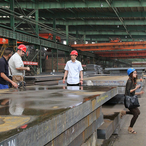 P275NH P355N P355NL1 P355NL2 P355NH P275NL Placa de acero al carbono laminada en caliente P460NL1 P355 Hoja de acero - Product Image 6