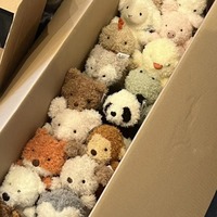 Petit jouet en peluche en forme de cochon bouclé, peluche pour enfants, 8 pouces (20 cm), rembourrage en coton PP, cadeau promotionnel
