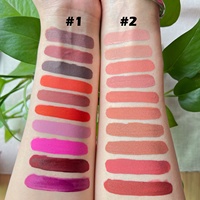 Ensemble de rouge à lèvres liquide, logo personnalisé Vegan Mini, 10 pièces, étanche, brillant, étiquette privée, mat, nu