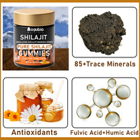 Gummies de Shilajit de l'Himalaya à Marque Blanche OEM, Acide Fulvique, Oligo-éléments, Végétaliennes, Sans Sucre, Complément Alimentaire pour Hommes et Femmes