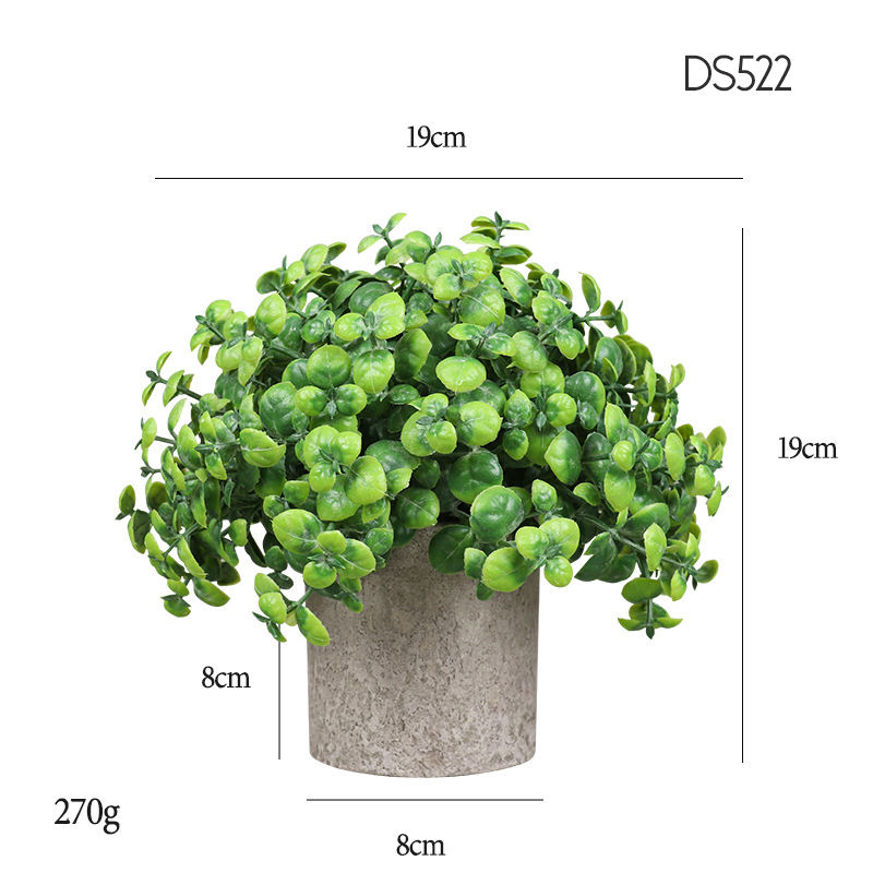 522  Dense spreading of Azolla leaf grass
