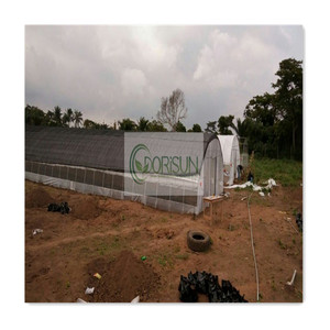 200 m² Prix scellé Prix compétitif Aluminium Agriculture Photovoltaïque Verre <span class=keywords><strong>solaire</strong></span> Petites serres à vendre - Product Image 1