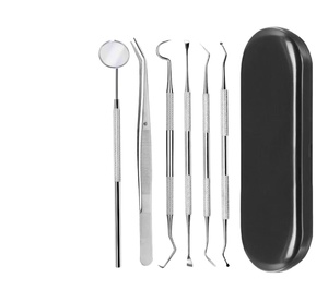 6 pezzi Set di denti dentali Scaler in acciaio inox Kit lenti a specchio falce pinza strumenti spatola cura orale pulizia dei denti Kit - Product Image 2