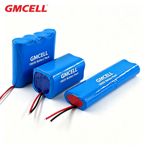 Batterie Li-ion rechargeable sans plomb et respectueuse de l'environnement |   Nouvelle conception pour les appareils électroménagers et l'électronique grand public - Product Image 1