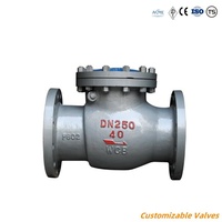 Válvula de retención oscilante de bola de acero inoxidable forjado de hierro fundido de oblea de brida industrial API 6D