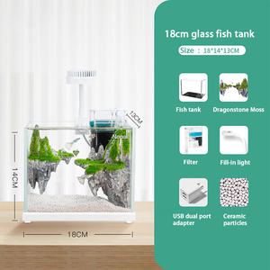 Nieuwe Hot Koop Creative Ecologische Kleine Aquarium Aquarium - Product Image 4