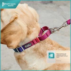 <span class=keywords><strong>Collar</strong></span> y Correa de Nailon Ajustable de Lujo para Mascotas, con Estampado de Huellas de Patas, Hebilla de Liberación Rápida, Diseño de Dibujos Animados - Product Image 2