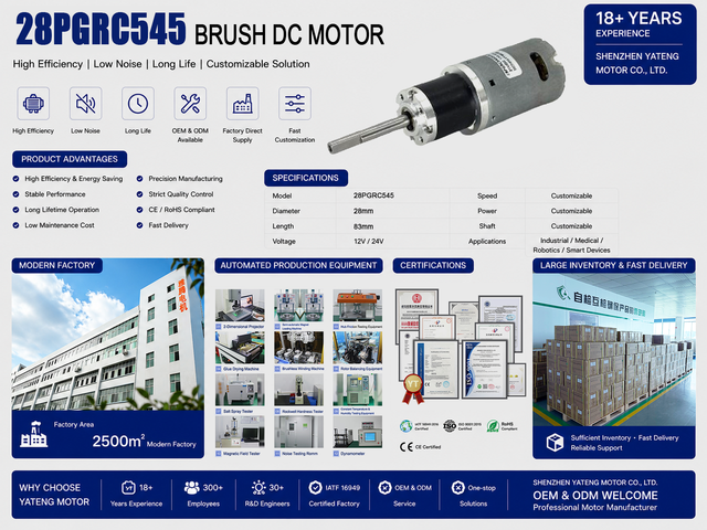 28mm Planetary Brush DC Gear Motor 12V 24V High Torque Low RPM IP65 for Robot Smart Lock and Smart Home Automation