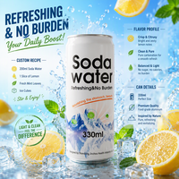 Vente en gros à bas prix 330ml de boisson gazeuse en conserve sans alcool à saveur de fruit eau gazeuse boisson gazeuse soda