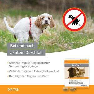 Köpekler ve Kediler için Akut İshal Rahatlatıcı ve Bağırsak İyileştirici, Çiğnenebilir Tabletler, OEM ODM Diyet Takviyesi - Product Image 4