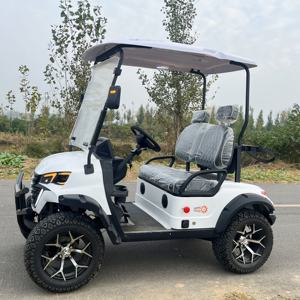 Voiture de <span class=keywords><strong>golf</strong></span> électrique 4x4 homologuée pour la route, 2 places, batterie au lithium, moteur 5000W, voiture électrique - Product Image 5