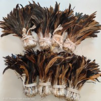 Plumes de coq naturelles demi-bronzées, enfilées et cousues, en gros pour garnitures de vêtements, costumes de carnaval et artisanat