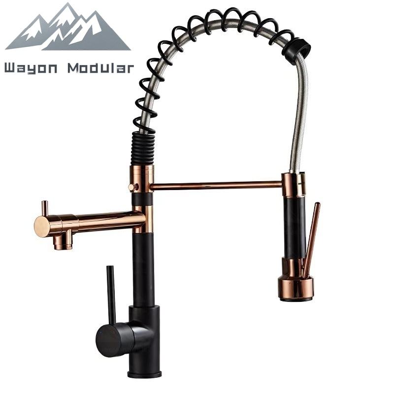 Black and gold dual functions