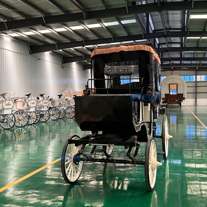 Chariot Électrique de Luxe 2026 pour Visites Touristiques et Mariages / Wagon de Tourisme Extérieur – Nouvelle Collection à Succès - Product Image 6