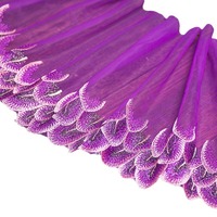 Dentelle brodée en plumes de paon colorées, écologique, 20 cm de large, tissu doux, pour vêtements de maison, lingerie, accessoires de poupée 3D