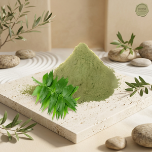 Fabricant d'extrait de feuilles de Neem, fournisseur en gros de poudre d'extrait de Neem en vrac - Product Image 1