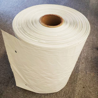 Sacs en polyéthylène perforés pré-ouverts, en PE, en LDPE, pour courrier express, rouleaux de sacs autobag pour le commerce électronique