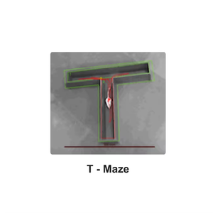 T Maze For Mice Conçu pour évaluer le comportement d'apprentissage Mémoire spatiale et préférence de choix dans les études de recherche en laboratoire - Product Image 2