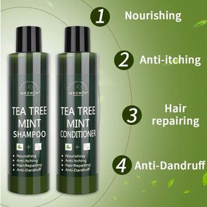 Shampooing de croissance des <span class=keywords><strong>cheveux</strong></span> bio unisexe Ensemble après-shampoing Formule gel naturelle Huiles essentielles-Gingembre Aloe Vera Arbre à thé Hommes Femmes <span class=keywords><strong>Cheveux</strong></span> - Product Image 3