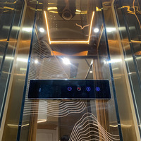 Ascenseur hydraulique en verre de haute qualité, anti-corrosion, décoratif et moderne, pour projets résidentiels élégants