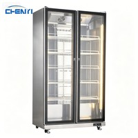 Réfrigérateurs mécaniques Sub Zero, vitrine de présentation de boissons, réfrigérateur à vin et à bière en libre-service pour usage commercial