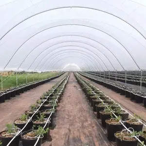 Sainpoly Heavy Commercial Greenhouse 4 Season For Agricultural Blueberry Strawberry Farming Tunnel Greenhouse