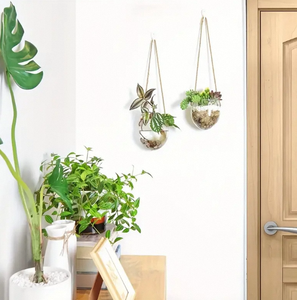 Großhandel Glas-Hänge-<span class=keywords><strong>Terrarium</strong></span> Vase <span class=keywords><strong>Terrarium</strong></span>-Glasbehälter Blumentöpfe für Sukkulenten Heim- und Gartendekoration - Product Image 5