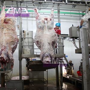 Máquina de Línea de Sacrificio Halal Musulmana de Acero Inoxidable para 100 Ganado por Día, con Bomba de Motor de Alta Eficiencia, ISO9001 - Product Image 6