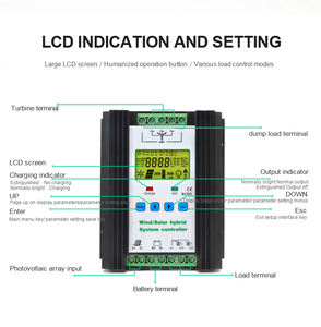 Système d'alimentation <span class=keywords><strong>hybride</strong></span> solaire-éolien 600-1000W, régulateur solaire pour batterie au plomb-acide au lithium 12V 24V - Product Image 5