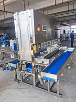 Industriële 1 T/h Fruitverwerkingsmachine Appel Sinaasappel Peer Peeling Sortering Lucht Drogen Mango Schilmachine