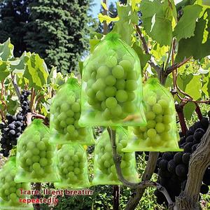FCWD Stock Transparent Screen Printed Drawstring Mesh <b>Bag</b> Breathable Organza Packaging Fruit Insect-Proof <b>Net</b> <b>Bag</b> Agriculture - Product Image 1