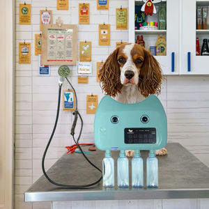 Machine à bulles de bain automatique pour chat et chien SPA en plastique avec 4 flacons Produits de toilettage pour animaux de compagnie Nettoyage de la salle de bain Shampoing en caoutchouc - Product Image 1